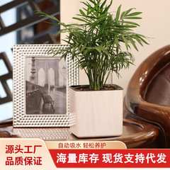 懒人花盆自动吸水绿萝盆栽储水花盆室内创意加厚塑料免浇水方形盆