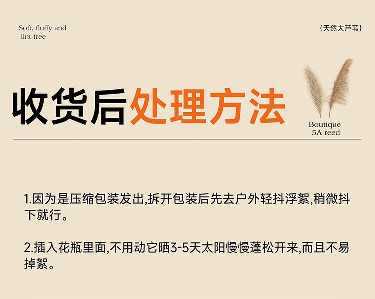 99f71cf7-1151-4e32-abd7-fe4fb008db6a.jpe