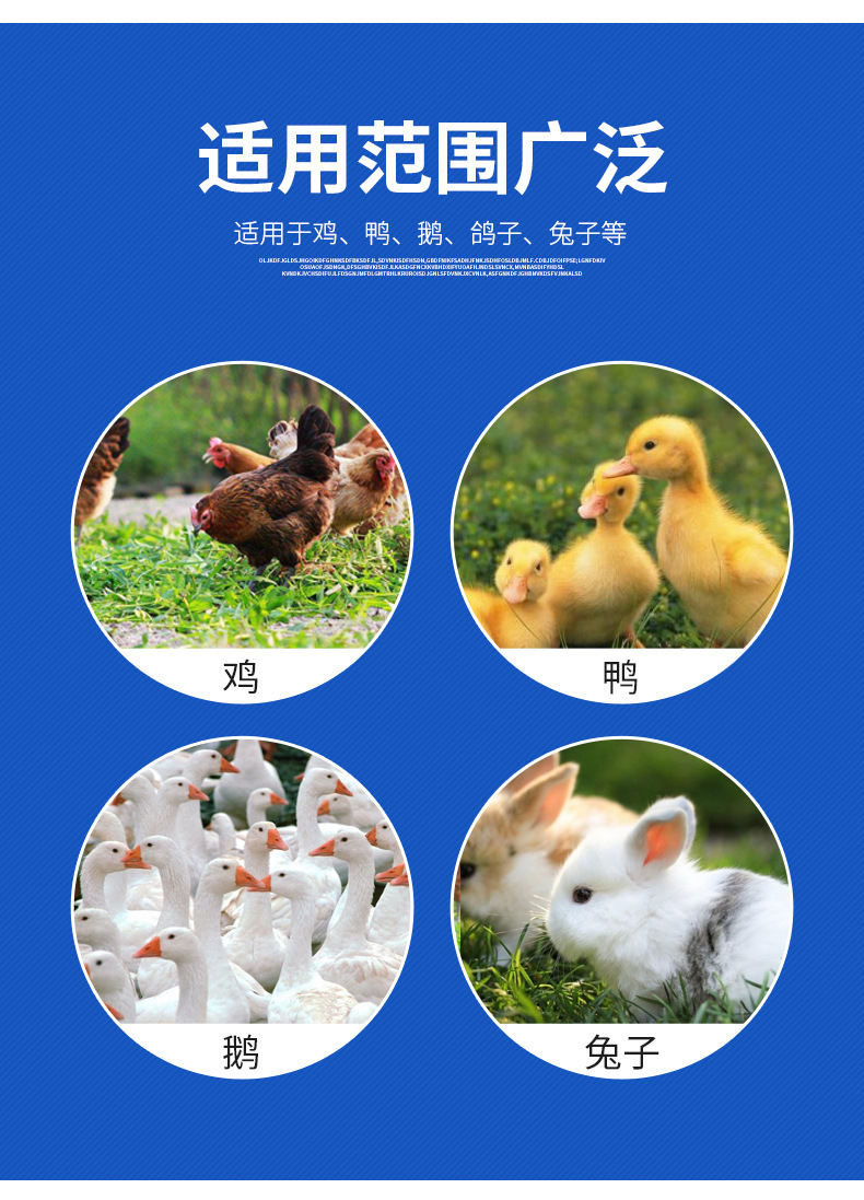 雞用漏糞板詳情_04