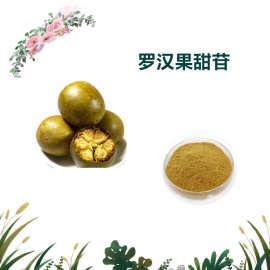 沃特莱斯生物 罗汉果甜苷10% 萃取粉 水溶粉 质量稳定 2kg起批