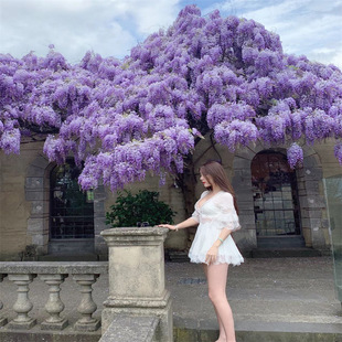 ���ٻ���������ֲ��ͥԺ�G�������ļ��_�������Ի����ձ������}��