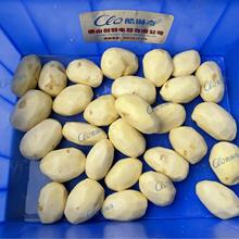 늄ƤC ȥƤRƤC tķƤCC