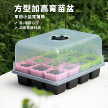 �I�B�������貥�N���ϻ���Nֲ��I�B���@�ֻ��ܱ�����Ǥ�����籭