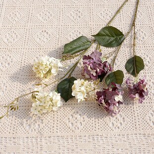 ���u3�^ɽ����ľ���� ����ٻ��Ҿӿ͏d�[��ܛ�bӰ�ǻ�c���ܻ�ˇ