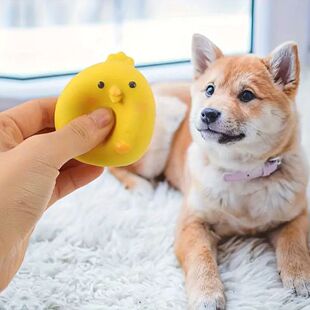 �羳����l���ĥ����ͨ���zС�S�uС��Ȯ����������߽␞����