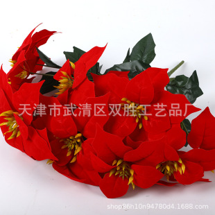 ���滨�����}�Q����һƷ�t�� 5�^һƷ�t 7�^һƷ�t�����S�����l