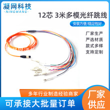 MPO(ĸ�^)-LC 12о 3�׶�ģ���w���� MTP���w��