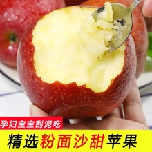 【越放越粉面】陕西红星苹果应季新鲜水果老人宝宝辅食刮泥苹果
