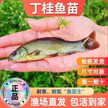 �����~�絭ˮ�Bֳʳ�ÚW�޶��F�~��~�q���B����~���wҎ���Rȫ