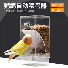 虎皮玄凤牡丹鹦鹉鸟食盒防撒防溅鹦鹉自动喂食器防撒喂鸟器下料器