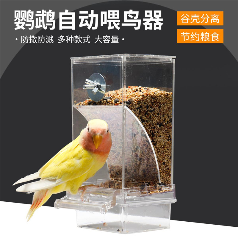 虎皮玄凤牡丹鹦鹉鸟食盒防撒防溅鹦鹉自动喂食器防撒喂鸟器下料器