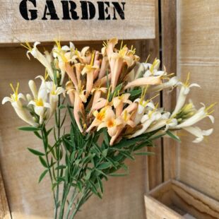 2�^���̻� ܛ�z�����ͮ��Ƶ��b��Ĕz�ٻ��Ҿӷ��滨��c