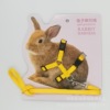 Spot Shandong factory selling pet chest strap traction rope rabbit traction rope small pet traction rope