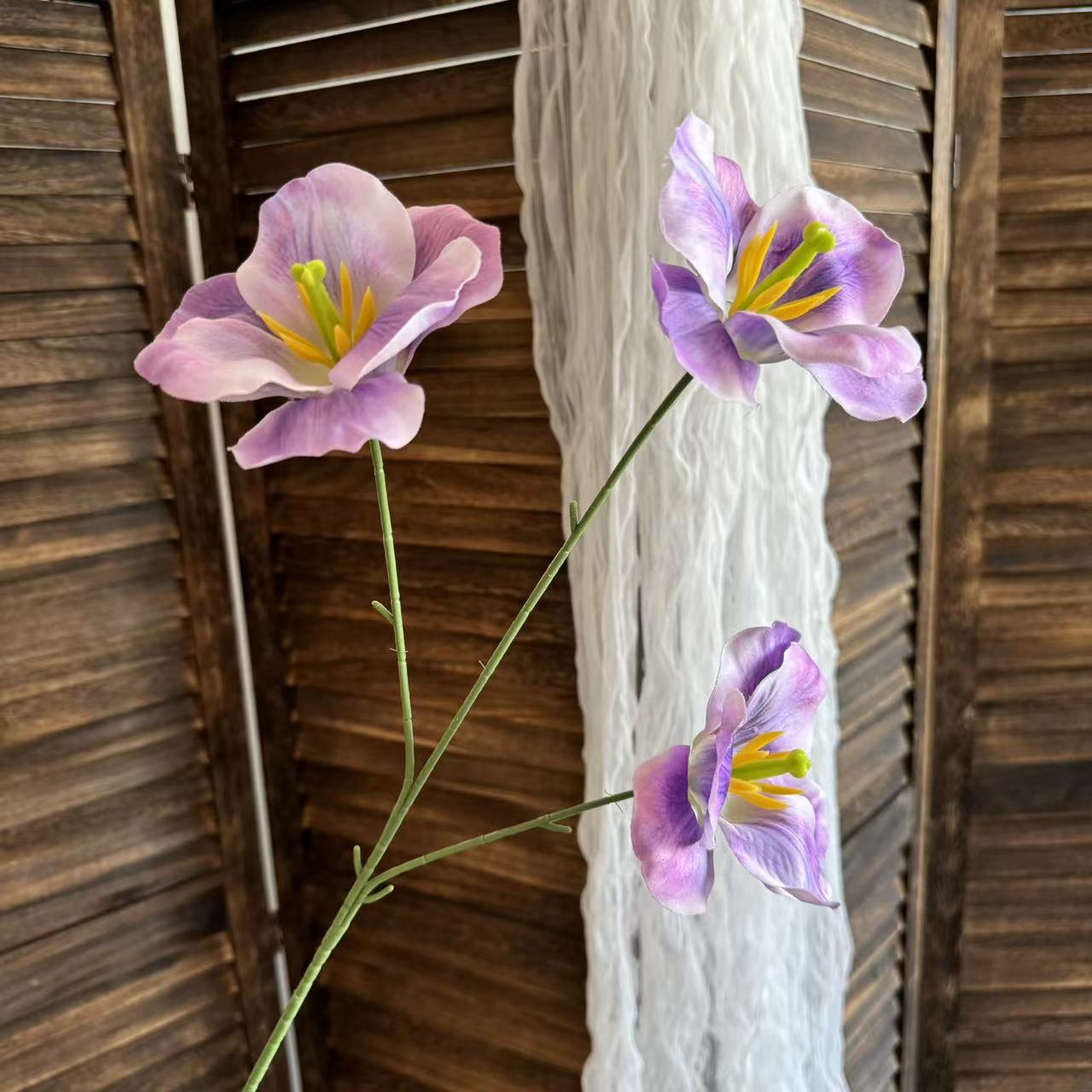 보라색
