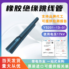 �ձ�YS���z�^��������YS201-13-01�^�������ڱ���20kV�^��������