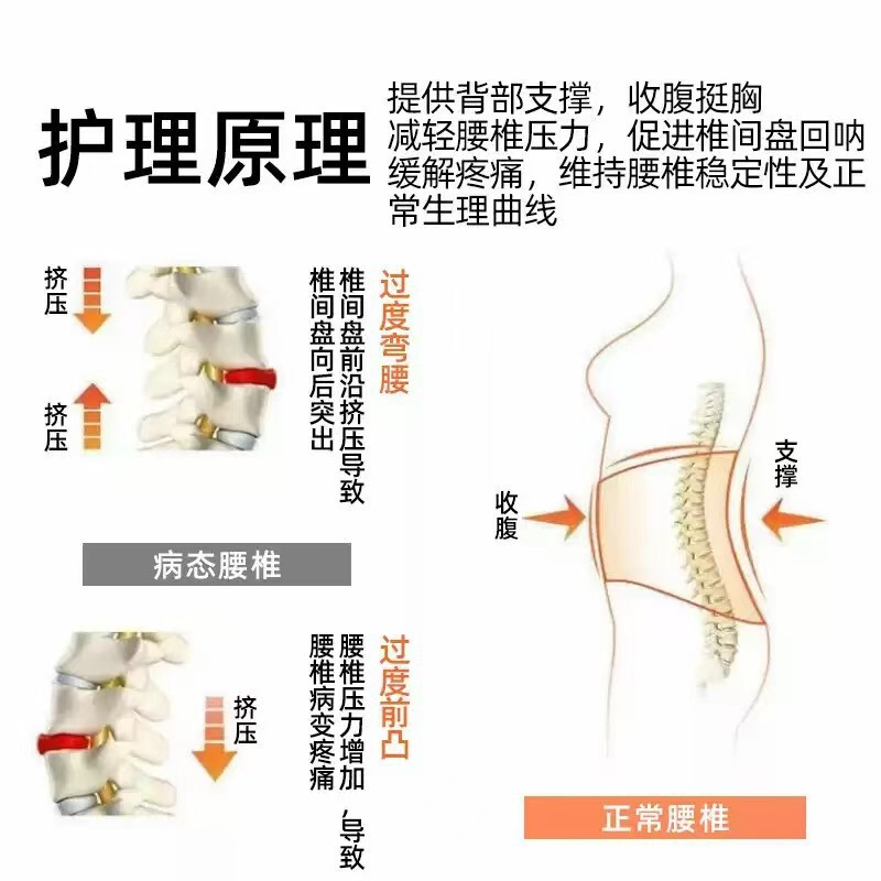 热销护腰带男女四季轻薄透气款运动久坐久站可调节腰部固定护腰带|undefined