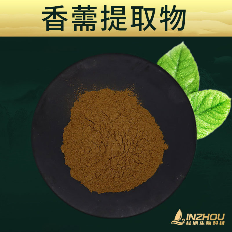 香薷提取物  林洲生物 香薷粉 香薷萃取 香薷浸膏 香薷喷干粉