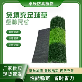 跑道草坪;仿真绿植