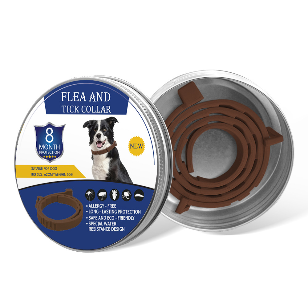 갈색 강아지 디자인 선물 상자