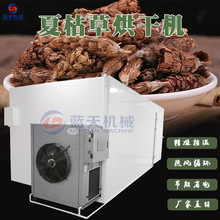 �՚����Ŀ����������C ��鳲��Fɫ�ݲ�ș����O�� �Ŀݲݺ�əC