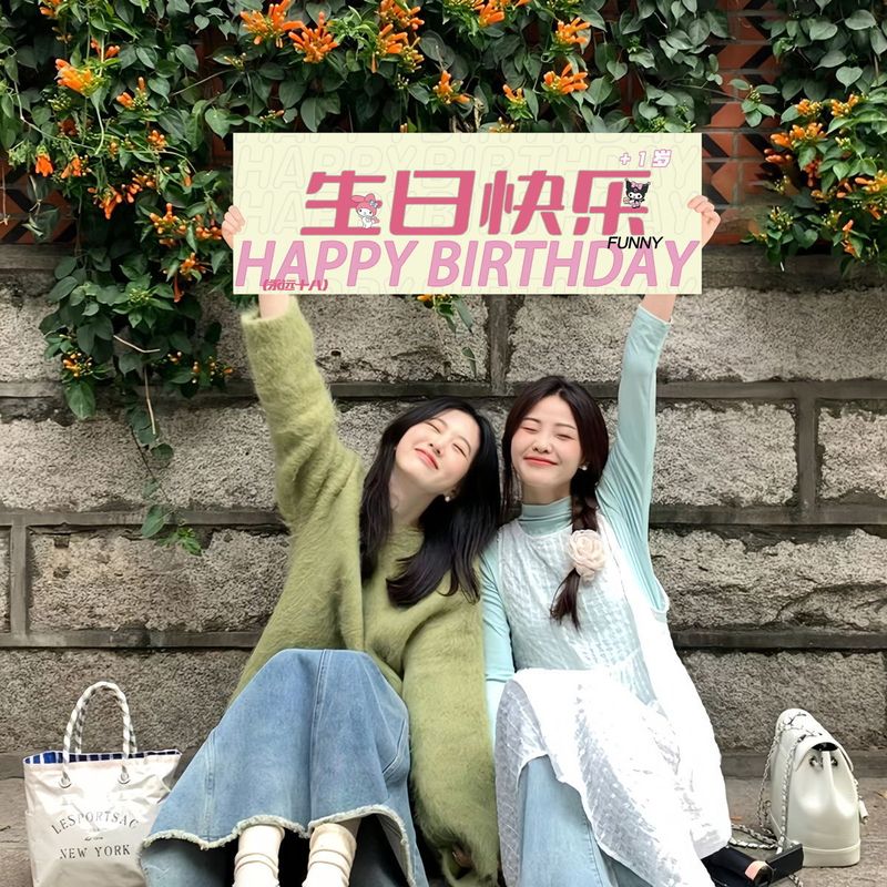 生日快乐氛围感拍照道具手持横幅仪式女孩装饰场景布置用品包邮|undefined