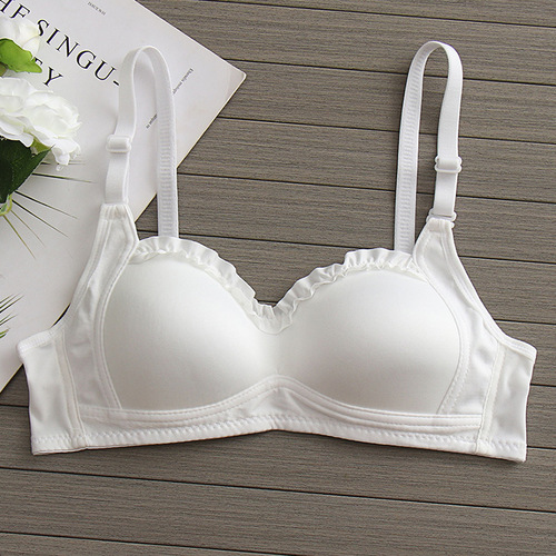 Cute Girls' Bra for High School Students, Small Cup, Push-up Design, Developmental Bra, Thin Lace Bra for Young Students