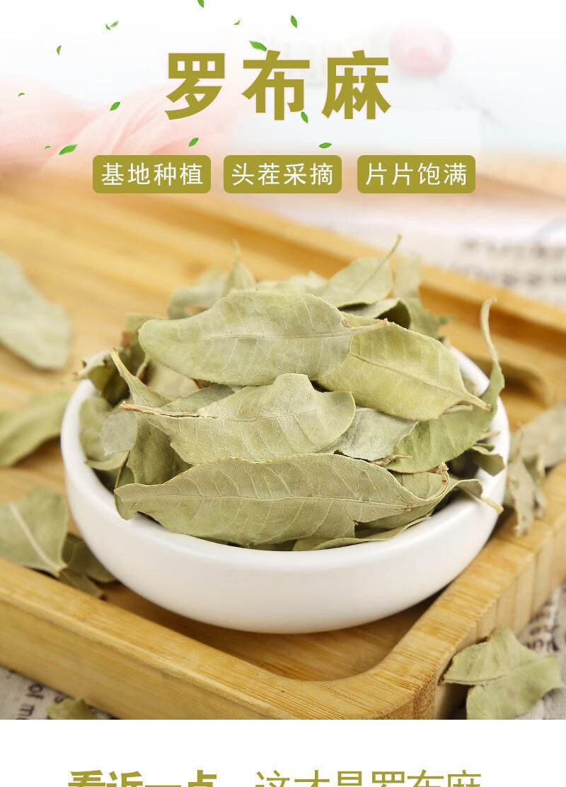 Apocynum Tea Luo Bu Ma 500g Xinjiang Tender Leaf Herbal Tea Dried Loose Leaves overview