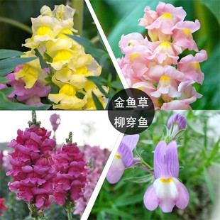 �����~���ѽ��~�ݷN���ﲥ���^���������ͺ������҃����̨���Ի�