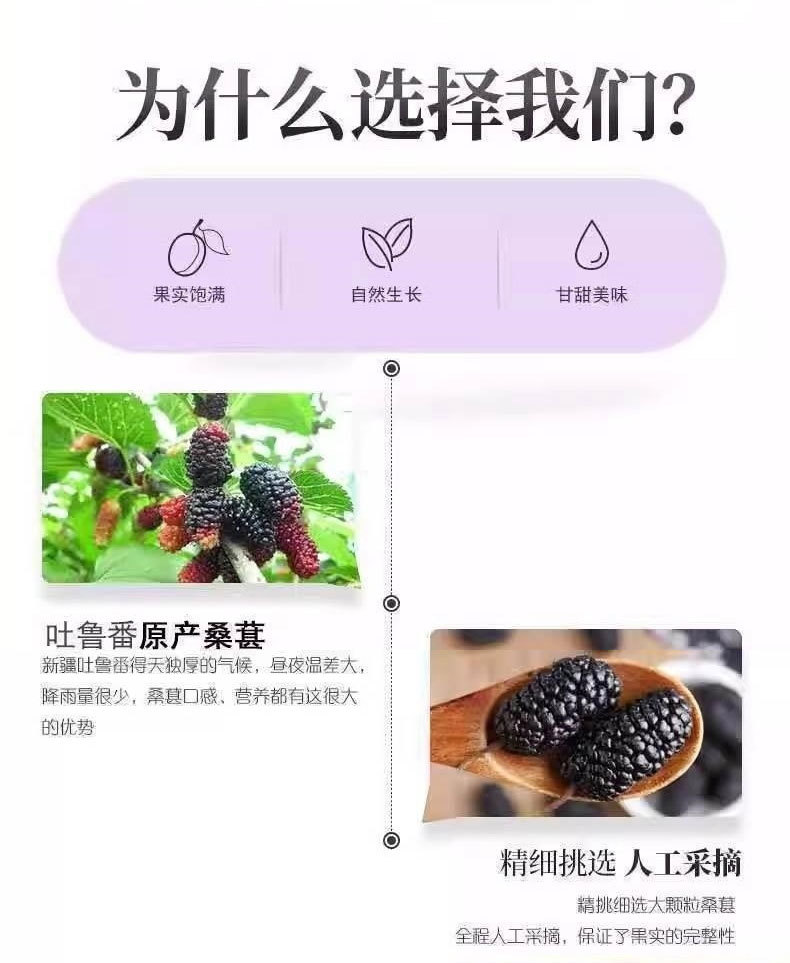 Dried Mulberry Fruit Sang Shen Zi 250g Black Mulberries for Tea Snacking and Herbal Use preparation