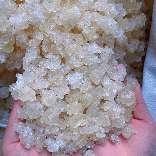 Yunnan Reticulated Snow Bird 1kg Authentic Reticulated Snow Bird Special Grade No Impurities Plant Bird's Nest Reticulated Snow Bird Wholesale