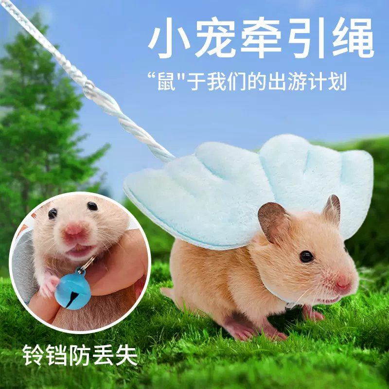 小仓鼠牵引绳外出绳子花枝鼠蜜袋金丝熊小猫出行遛猫遛鼠锻炼绳