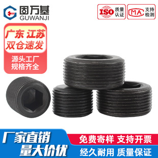 4.8���F�ڶ��^Ӣ�����ƃ�������z���^NPT12G�ܶ���������1��6��