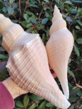 �L����̖��������ݚ����݄���ҾӔ[��ˮ���b���Ȼ����ؐ��