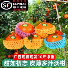 �V�����Q�ָ�10�����rˮ�������������ڶY�ЬFժ�F�l������S�ϙ�