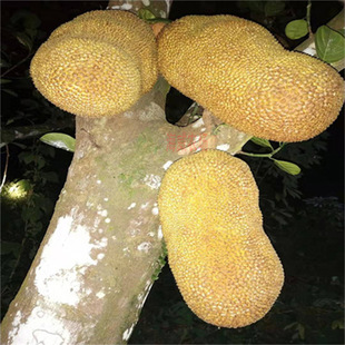 ���}�ۘ����޽ӹ�������ļ�ˮ�����҃���ͥԺ���ԷN���ͺ���ɏ