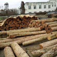 ľ��ԭľ�a����ԭľ��z骘E骻�ƿ�Ĵ�ֱ�N��ζ�Ԏ��PͲС�~