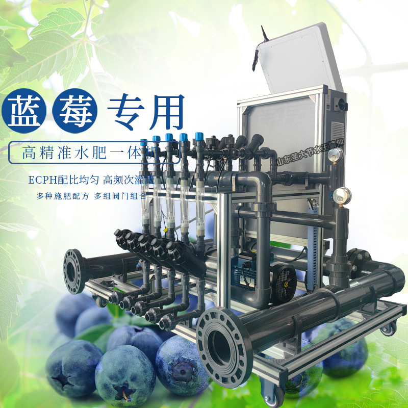 藍(lán)莓種植專用精準(zhǔn)配肥水肥一體機(jī)哪家好山東圣大節(jié)水科技有限公司