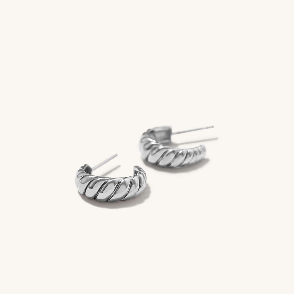 1 Pair Simple Style Twist Plating Stainless Steel Earrings display picture 8