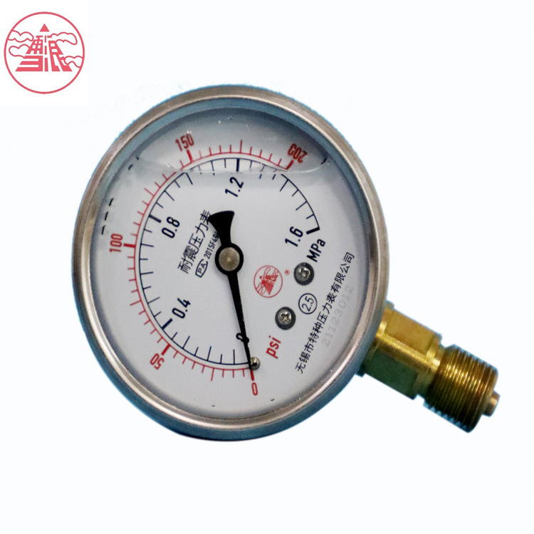 船用耐震压力表YCN-75无锡特种雪浪仪器仪表