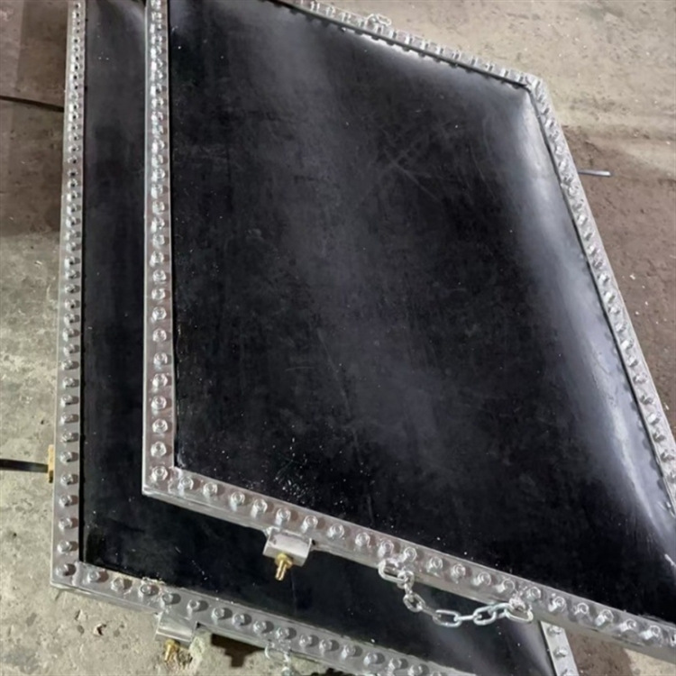 Placa de calentamiento superior e inferior de la máquina de vulcanización de correa, bolsa de agua de goma, placa de presión de agua integrada, placa de presión de la máquina de vulcanización