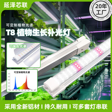 T8ֲ���a���ȫ���V�羳���������҃ȸ߹��ʽM������ֲ�����L����