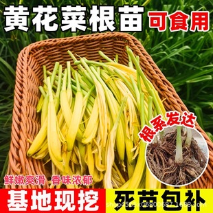 �S���˸���ʳ���S���˷N���ᘲ˽�ᘻ��������N�ѬF�ڬF�l���ɻ�