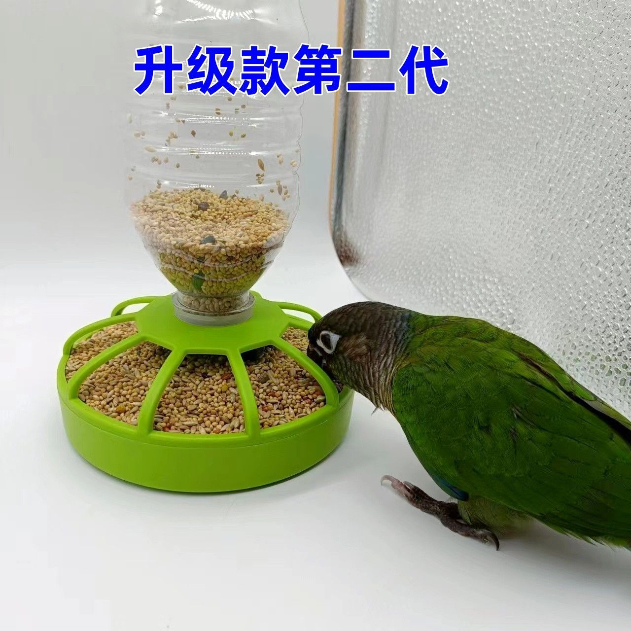 Parrot learns to eat food box for birds