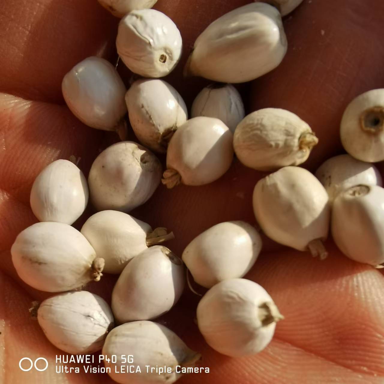 9685397b897d76d20ea756dadbbc4a