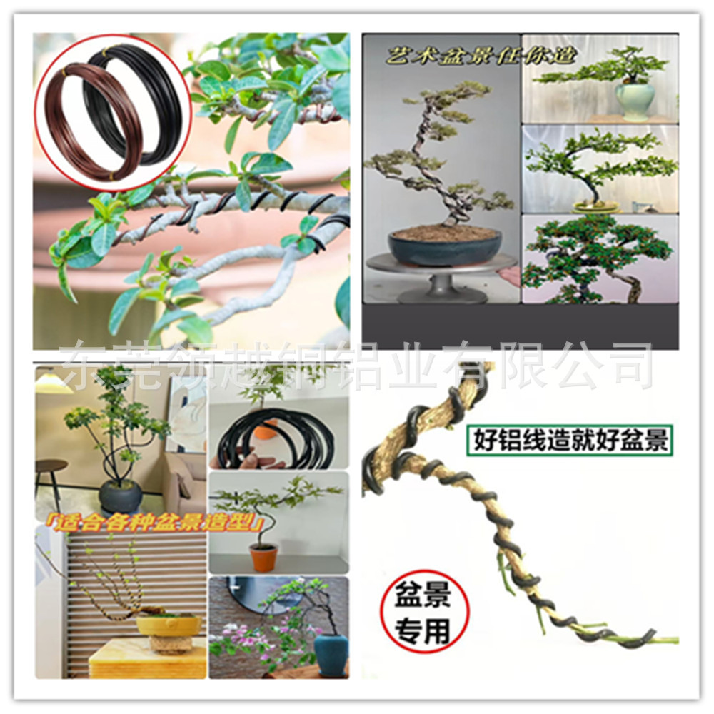 d3cf68872736119015a4e377e1a87c