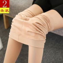 春秋冬中厚薄绒打底裤女外穿龙爪毛微压修身瘦腿袜光腿保暖神器