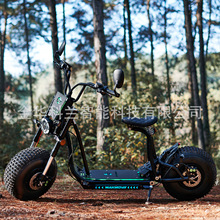 F؛늄ӻ܇Һp̥p򌻬܇electric scooter