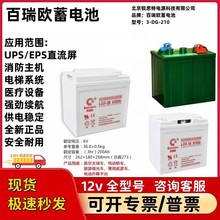 百瑞欧3D-180/210/230/250观光车T-1285电瓶4D-150 6-EVF-100