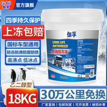 伽孚汽车防冻液汽车冷却液发动机水箱宝车用轿车长效大桶