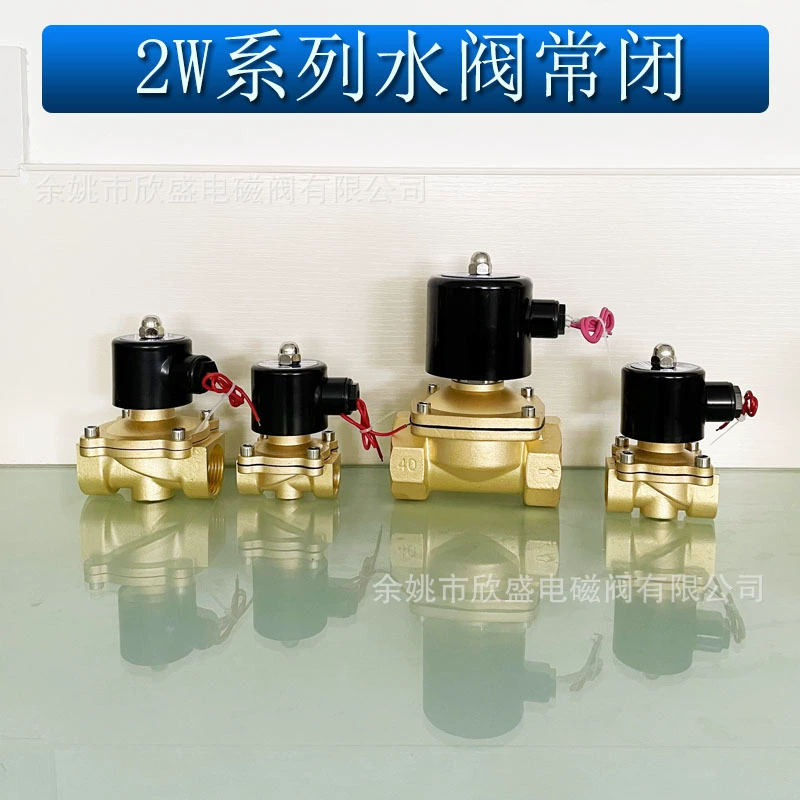 Электромагнитный клапан Водяной клапан воздушный клапан полностью медный 2 минуты 4 минуты 6 минут 1 дюйм 2 дюйма AC220V DC24V завод прямых продаж